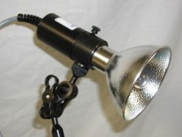 Video Lights